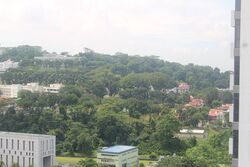 Hillion Residences (D23), Apartment #564733381